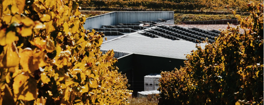 En nuestras instalaciones, hemos realizado inversiones significativas en recursos avanzados que demuestran nuestro firme compromiso con el medio ambiente. Contamos con una planta de producción de nitrógeno que impulsa nuestra línea de embotellado, con una capacidad de 2,300 botellas por hora. Además, aseguramos un suministro confiable de agua a través de un pozo dedicado, respaldado por filtros y lámparas ultravioleta para garantizar su pureza, libre de microorganismos. Nuestra dependencia de la energía solar no solo nos hace autosuficientes, sino que también promueve la sostenibilidad ambiental. Estas iniciativas reflejan nuestro compromiso integral con la innovación y el máximo respeto por el medio ambiente en cada etapa de producción. Continuamos avanzando hacia un futuro más verde.