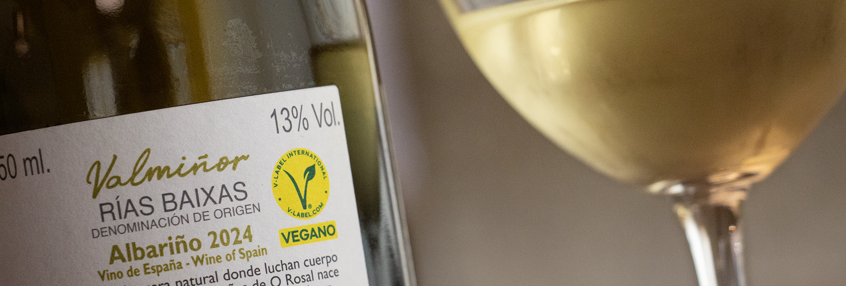 Valmiñor Vegano Web