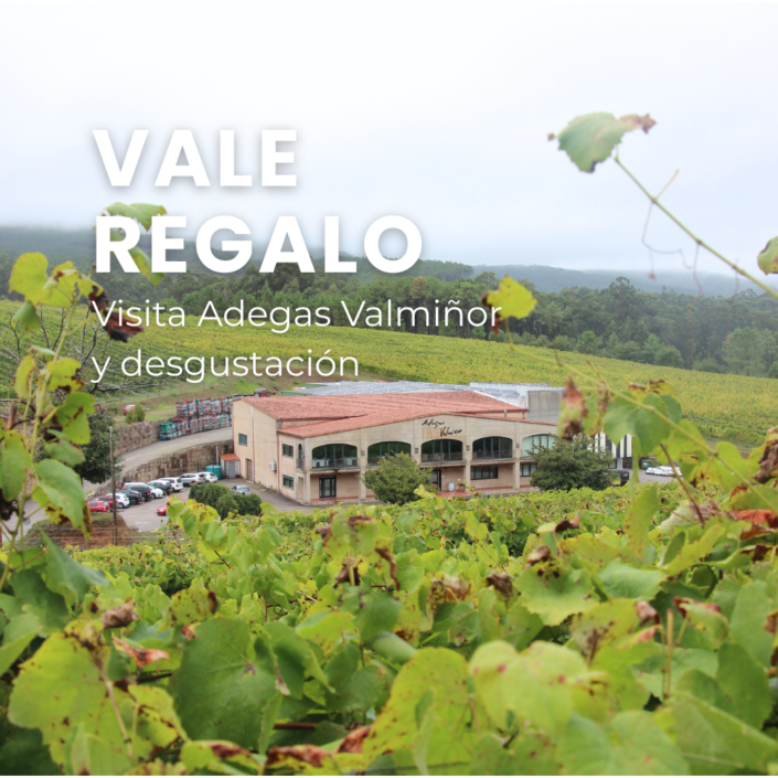 Bono visita clásica Adegas Valmiñor